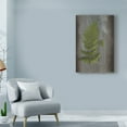 thumbnail image 3 of Trademark Fine Art 'Woodland Fern V' Canvas Art by Sue Schlabach, 3 of 3
