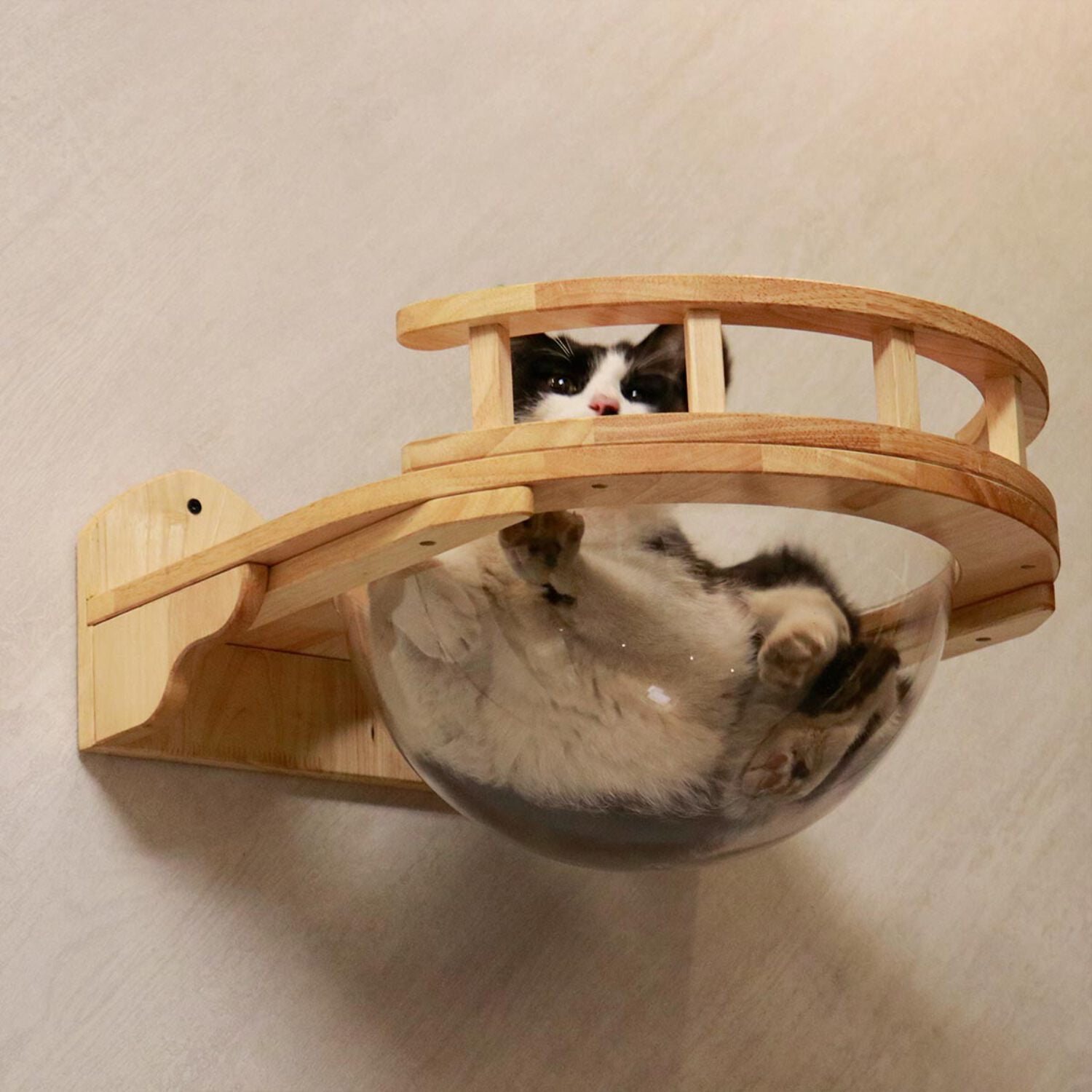 PETOMG Cat Perch, Cat Space Capsule, Cat Bed Furniture, Cat Wall Mounted | Rubber Wood