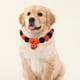 thumbnail image 4 of Collar de Halloween para Mascotas con Bolas de Pelo Sintético, Diseño de Calabaza y Cascabeles | Naranja, Poliéster, Talla L (26-45 Cm), 18 X 15 X 3 Cm, 16 G, 4 of 6