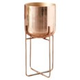 thumbnail image 1 of keepw Unique And Eye-catching Golden Flower Stand Turning Plants Into Art Handcrafted S rose gold, 1 of 6