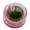 C, variant on Interactive Cat Chew Ball Toy with Natural Catnip, Rolling Wobble Pet Teething Toy, Teeth Cleaning Plaything for Indoor Cats, Boredom Relief Cat Enrichment Toy
