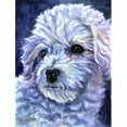 thumbnail image 1 of Carolines Treasures 7336CHF Bichon Frise Flag Canvas House Size, 1 of 4