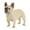 B, variant on Clearance Desktop Ornament under $5,Statue Hand Painted PVC Puppy Standing Figurine Statue For Home Yellow