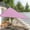 Pink, variant on Triangle Sun Shade Sail Canopy Sand for Patio Garden Yard Deck Pergola(Sky Blue)