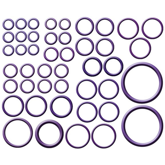 O-Ring & Gasket A/C System Seal Kit