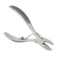thumbnail image 3 of Tooth -Stainless Steel Ball Spring Tooth Pliers Scissors Teeth Cut for Piglets Livestock Breeding Equipment, 3 of 7
