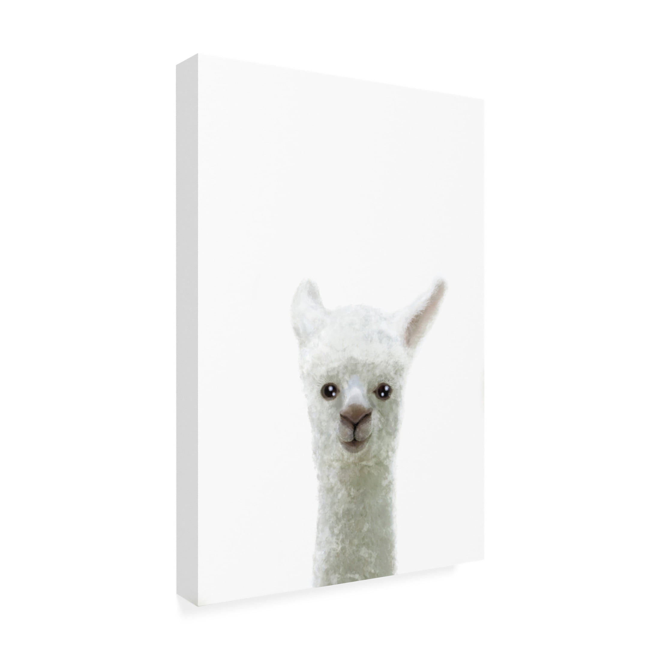 Canvas Wall Art - Pictufy Studio Ii 'Llama' Wall Art for Living Room, Bedroom, or Office Décor by Trademark Fine Art - 30 x 47 Inches