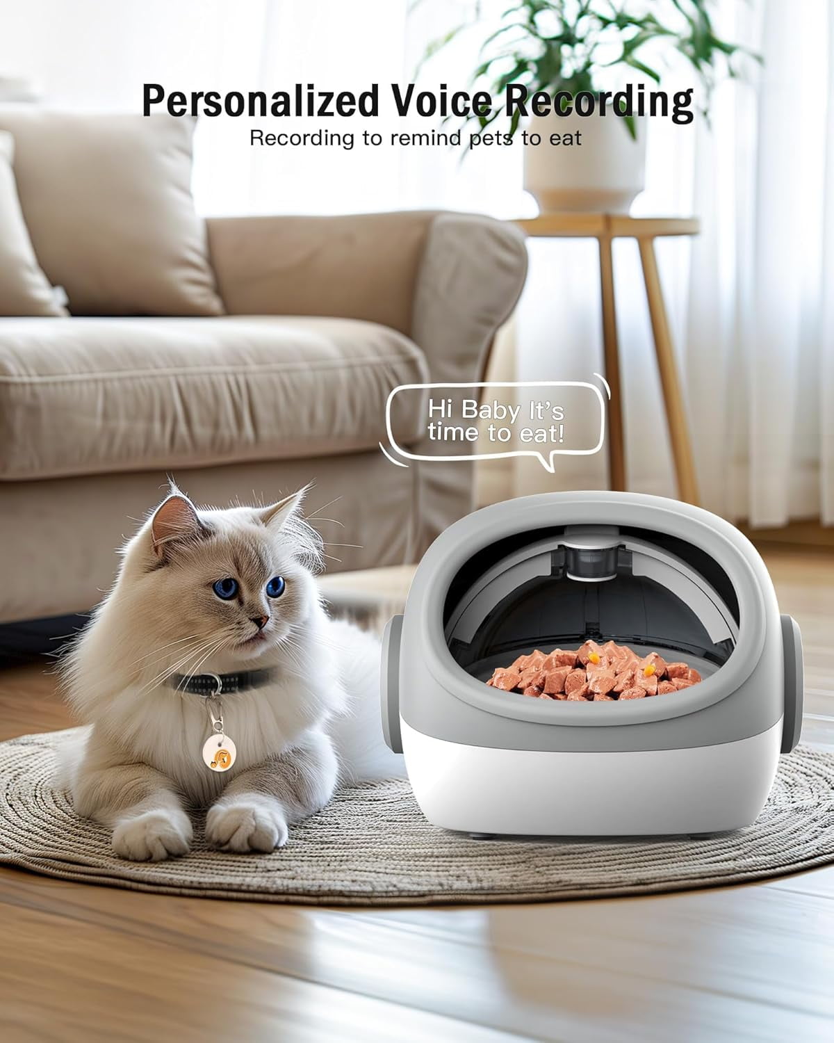 Automatic Cat Feeder, Microchip Pet Feeder, Auto Cat Feeder with Collar, Automatic Pet Feeder - Prevents Food Stealing, Perfect for Prescription Diets, Schedules Meals for Multiple Cats