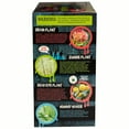 thumbnail image 4 of Toys By Nature: Zombie Apocalypse - DIY Biosphere Terrarium Starter Kit, Grow A Mini Horror Garden, Plants Look Like Brains & Eyeballs, Adults-Kids 4+, 4 of 7