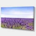 thumbnail image 2 of Close View of Lavender Flower Field - Oversized Landscape Wall Art Print, 2 of 3