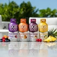 thumbnail image 7 of Focus Factor Extra Strength Focus + Energy Shots - 12 x 2oz Bottles (Pineapple Paradise Flavor) - L-Theanine, Ginkgo, Bacopa, L-Tyrosine, Alpha GPC, 7 of 7