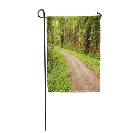 SIDONKU Green Access Rural Dirt Road in The Forest Street Garden Flag Decorative Flag House Banner 28x40 inch