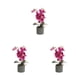 thumbnail image 5 of Orquídea artificial Bonsái Potted Matsuzay 8 Flores Púrpura, 5 of 6