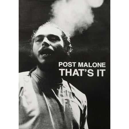 Post Malone Domestic Poster