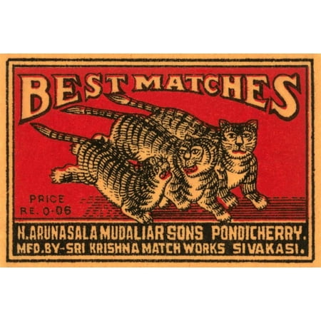 Three Tiger - Best Matches Stretched Canvas - Phillumenart (12 x