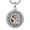 01-01-Tiger Eye Eagle, variant on Necklace for Men 925 Sterling Silver Tiger Eye Animal Jewelry Gifts for Chrismas Birthday