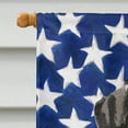 thumbnail image 3 of Dalmatian Patriotic Flag Canvas House Size, 3 of 4