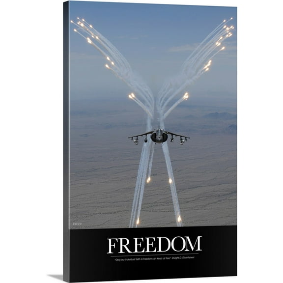 Great BIG Canvas | Kate Lillyson Premium Thick-Wrap Canvas entitled Air Force Poster: Freedom Can Keep Us Free
