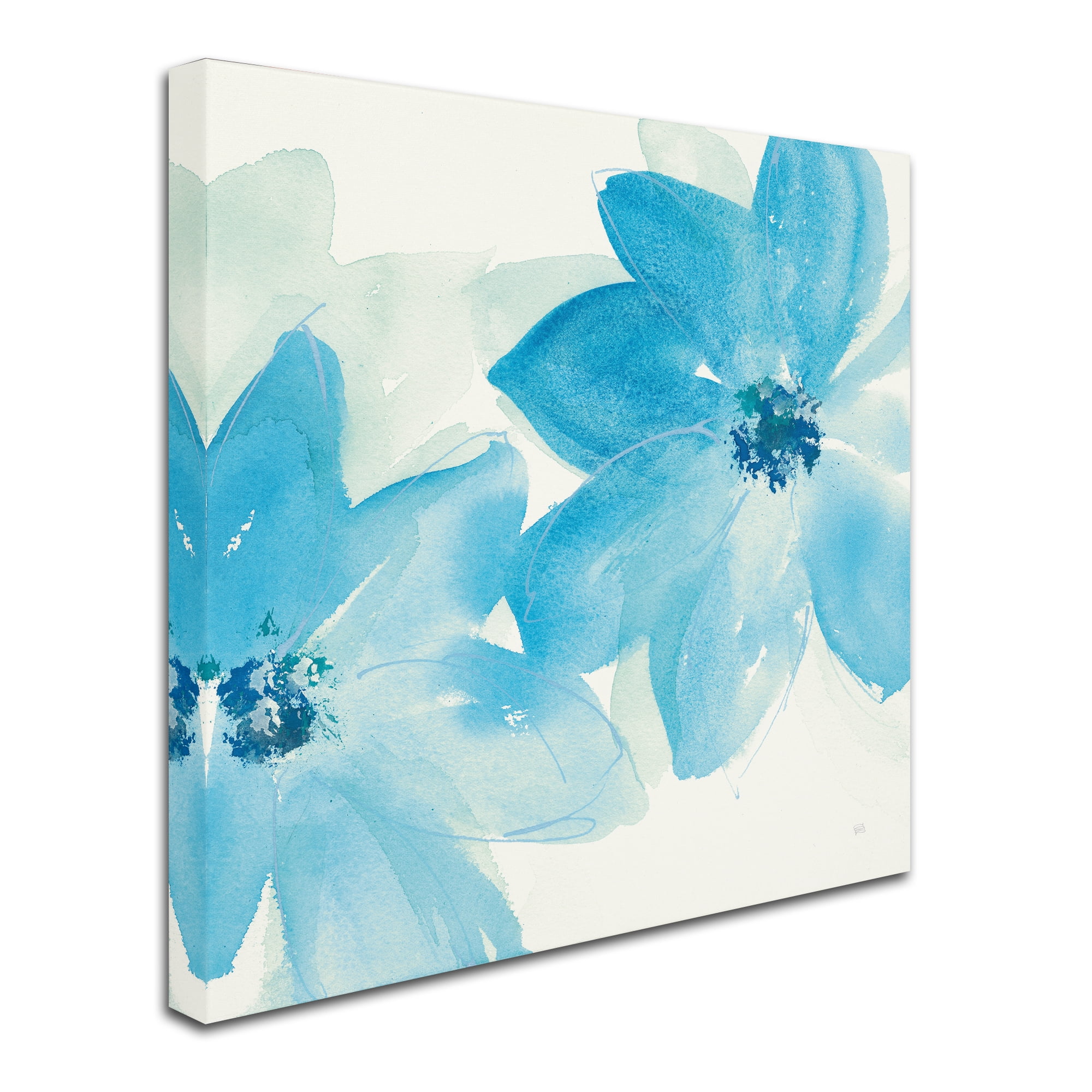 Trademark Fine Art 'Aqua Mint Clematis II' Canvas Art by Chris Paschke