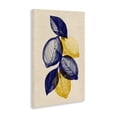 thumbnail image 2 of Stupell Industries Shabby Chic Navy Lemons Botanical Sketch Canvas Art, 24 x 36, by Petals Prints Design, 2 of 8