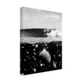 thumbnail image 3 of Trademark Fine Art spacerocket art 388 Canvas Wall Art, 3 of 4