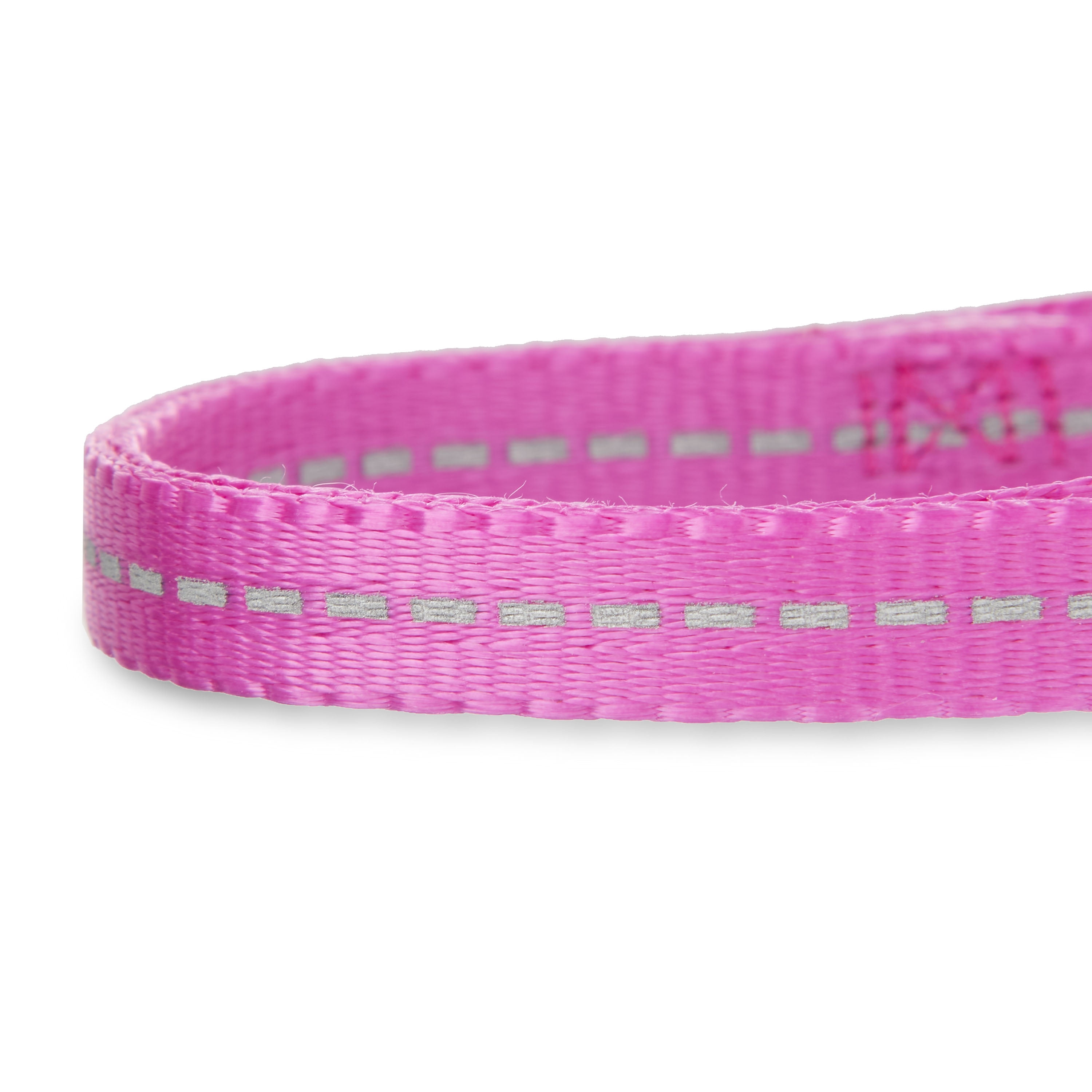 Vibrant Life Solid Nylon Dog Collar, Purple, Small
