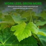 Humboldts Secret pH Up and pH Down Control Kit | Liquid Nutrient Solution Balancer for Plants | For Soil, Hydroponic, Coco, and DWC Systems | Supports Nutrient Absorption and Growth | 32 Ounce