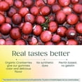 thumbnail image 6 of MegaFood Vitamin B12 Energy Gummies - Vegan Methyl B12 Vitamins - Cranberry - 35 Servings, 6 of 10