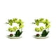 thumbnail image 4 of Orquídeas Artificiales Inteprter Plantas En Maceta Cuenco Blanco 2Conjunto Verde, 4 of 6