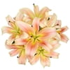 Image thumbnail_image