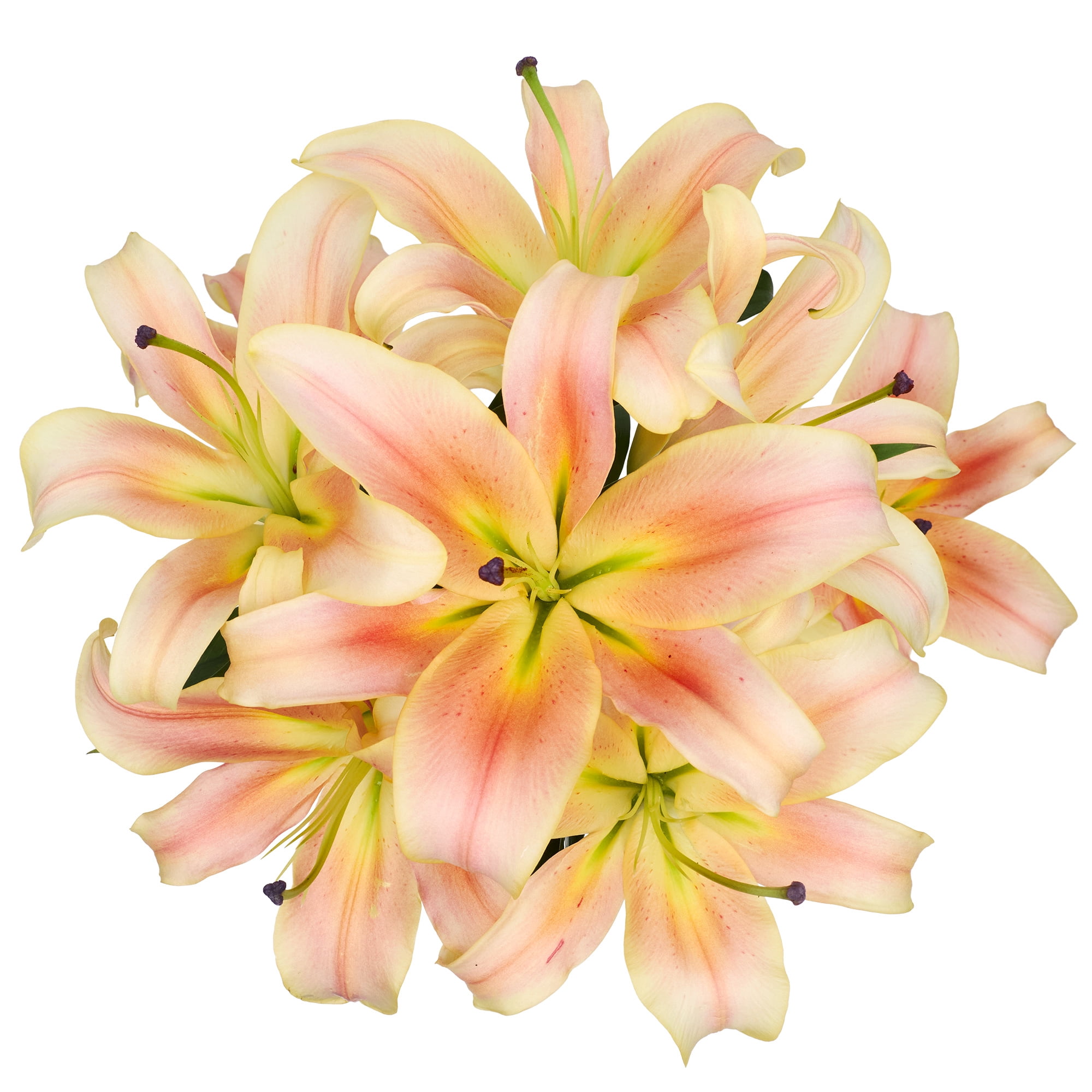 Oriental Lilies Flower Bunch Small, Colors May Vary