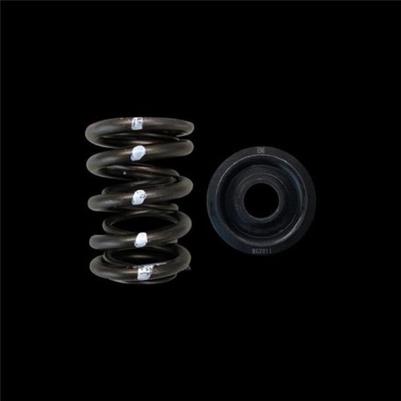 Kit de Retenue Double Ressort et Acier pour Honda Acura B18A B18B B20B