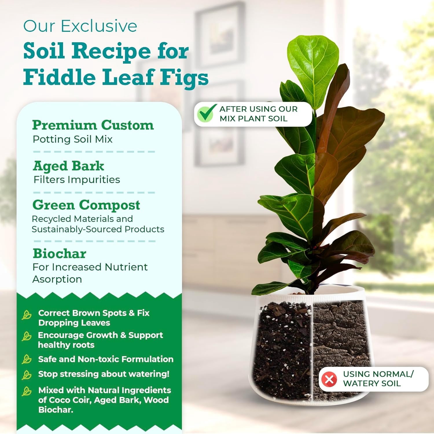 Fiddle Leaf Fig Potting Soil Mix by Fiddle Leaf Fig Plant Resource  Premium Organic Soil with Enhanced Drainage for Fast Growth and Healthy Roots Large Bag