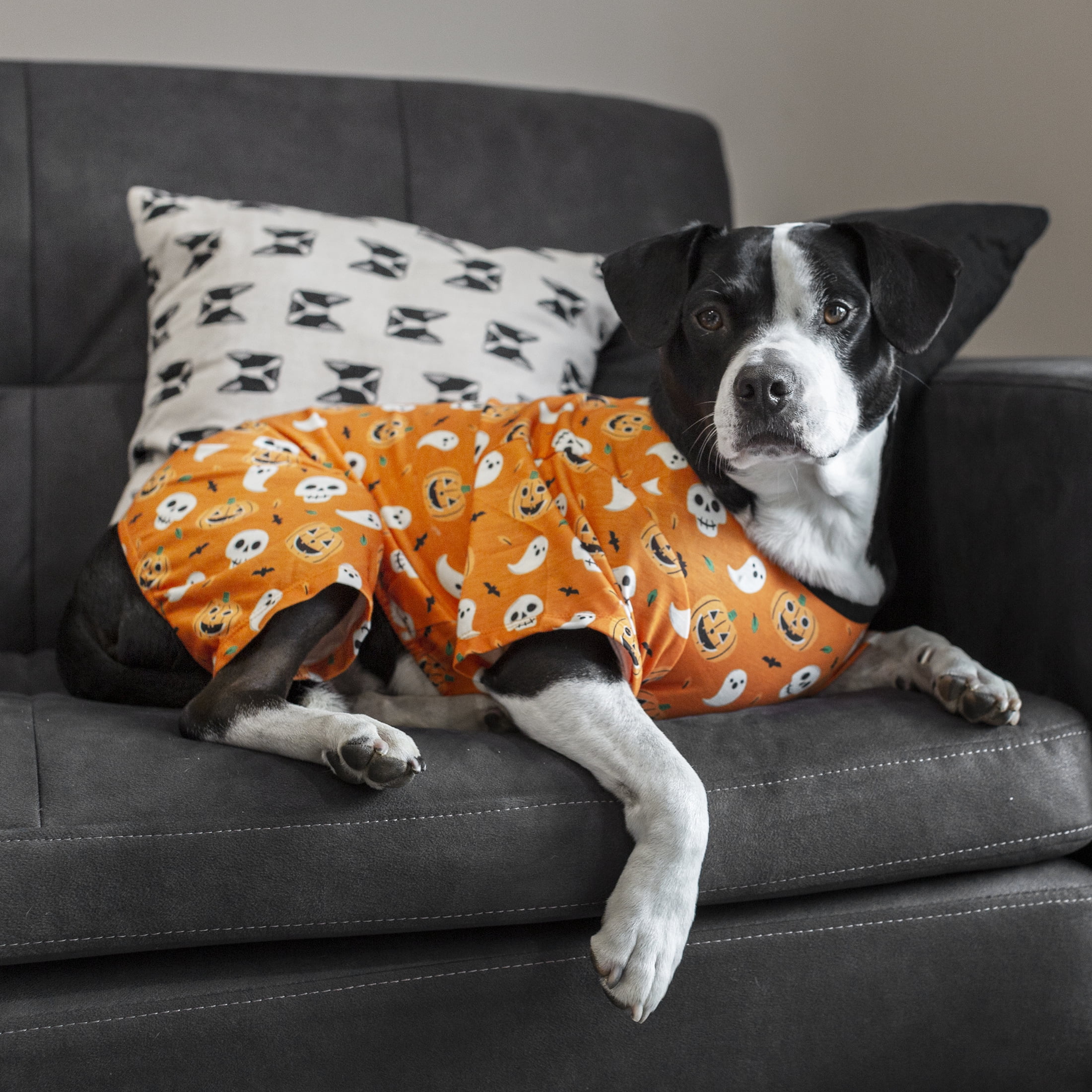 Vibrant Life Halloween Dog Clothes, Orange Pumpkin Ghost Pajama, for Dogs or Cats, Size XXS