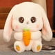 thumbnail image 1 of Kawaii Plushie Bunny Stuffed Animal Cute Plush Radish Rabbit Holding Carrot Plush Toy Soft Pillow Doll Children Kid Girl Gifts, 1 of 5