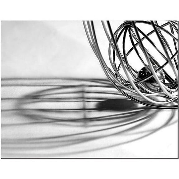 Trademark Fine Art "Whisk" Canvas Art by Tammy Davison