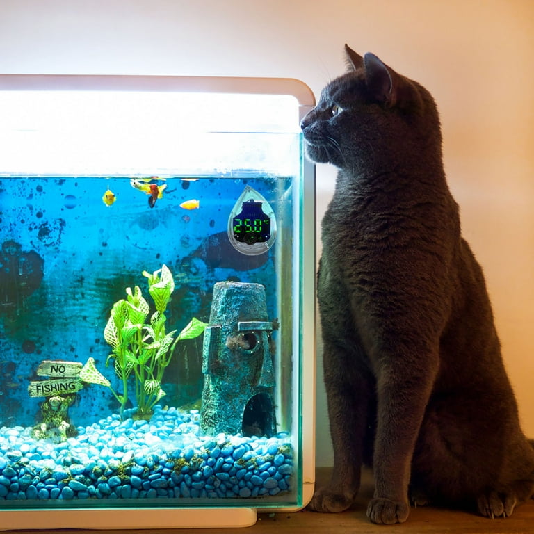 Digital fish tank cheap