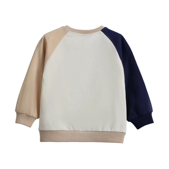 Likimi Child Toddler Girls Sweatshirts Cartoon Print Crew Neck Sweatshirt For Girls Long Sleeve Everyday Wear Soft Pullover Size 2-3 Years
