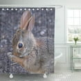 thumbnail image 1 of ABPHQTO Marrón New England Cottontail Rabbit Green Baby Backyard Bunny Cortina de ducha 160x180 cm, 1 of 1
