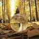 thumbnail image 5 of Muyoka MTFun Bola de cristal transparente suave K9 bola de lente transparente decorativa bola de lente transparente adorno de escritorio para el hogar para fotografía hogar boda decoración de la ofici Muyoka Hogar, 5 of 7