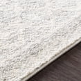 thumbnail image 3 of Elaziz Machine Woven Area Rug - Light Gray - 12' x 18', 3 of 4