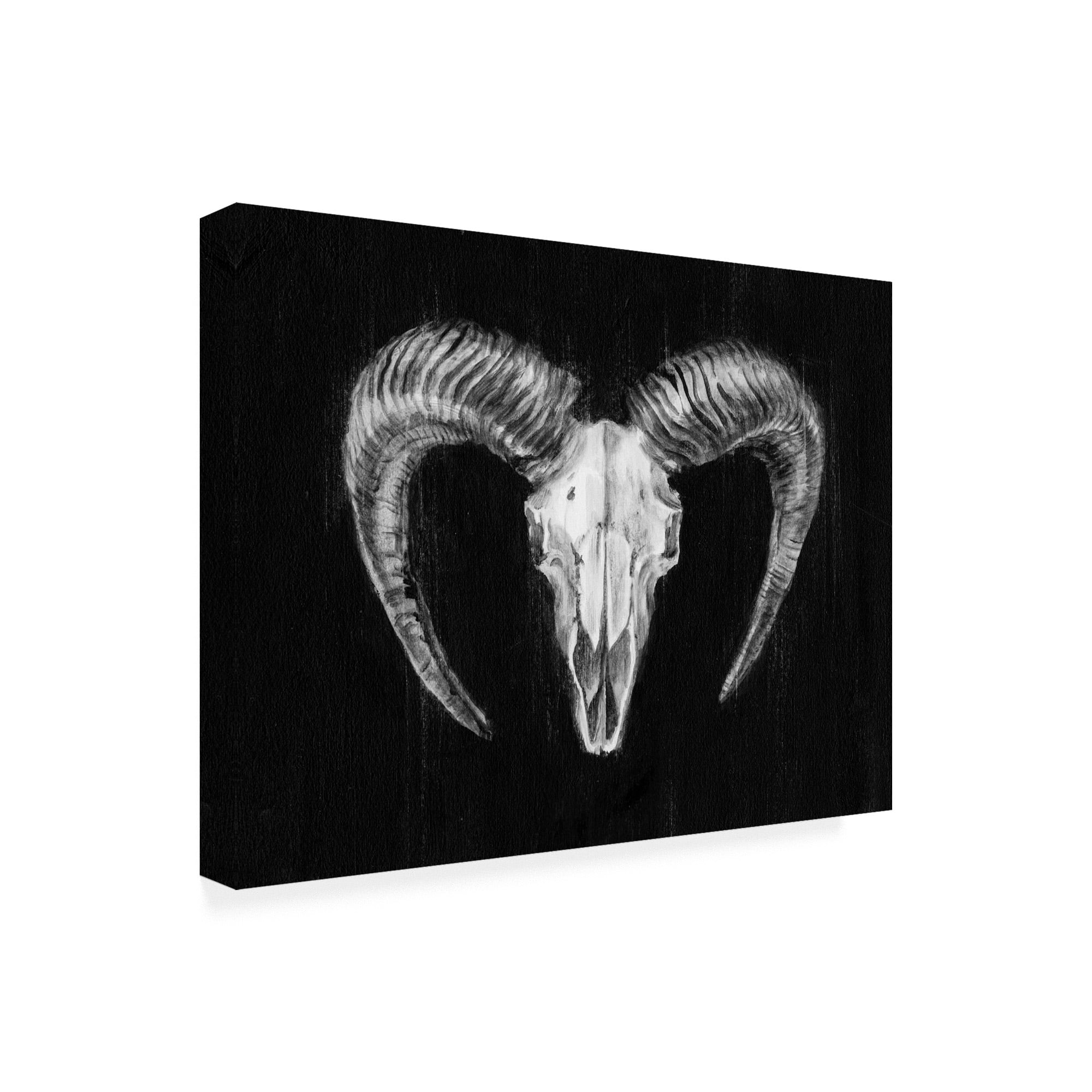 Trademark Fine Art 'Rustic Ram Mount Ii' Canvas Art by Ethan Harper