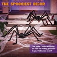 thumbnail image 6 of Ayieyill  Spider Halloween Decorations Outdoor, 5FT Scary Giant Spider for Halloween Yard Decorations, Haunted House Props, 1pc, 6 of 8