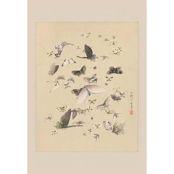Butterflies 2- Fine Art Canvas Print (20" x 30")