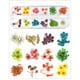 thumbnail image 3 of Accesorios para decoración de uñas, 12 colores, flores secas reales para uñas acrílicas en gel., 3 of 4