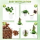 thumbnail image 5 of Naiovety Los palillos interiores de la planta en conserva del ABS apoyan las plantas del tren con el ambiente cada vez mayor de la facilidad Jardín y Patio Juego de 6 piezas, 5 of 6