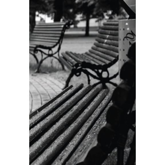 I Will Name You Baran (Paperback)