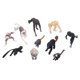 thumbnail image 4 of Juego de Modelos Animales ANGGREK 10 Piezas Adorno de Mono de Plástico Resistente Al Envejecimiento, 4 of 8