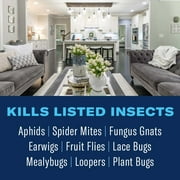 BioAdvanced Houseplant Insect & Mite Control 24oz Ready to Use, Controls Insects & Diseases