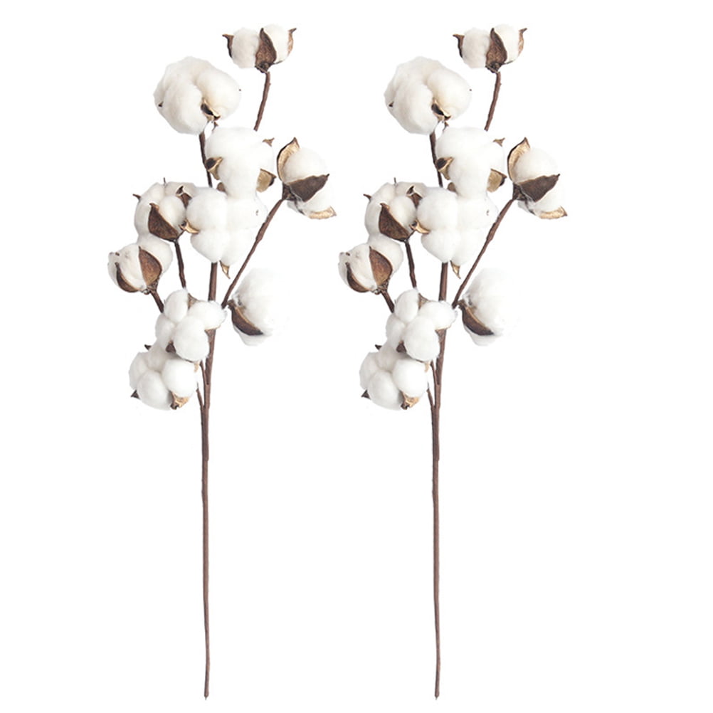 Phenofice Dried Cotton Stems White Artificial Flower Filler Home Decor 3Pcs 21X6X2In